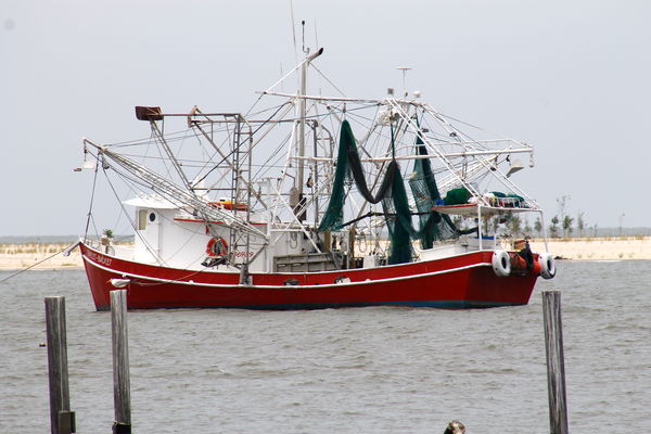 Shrimp Boat Biloxi Ms shrimp boats in biloxi Shrimp Boat Biloxi Ms shrimp boats in biloxi