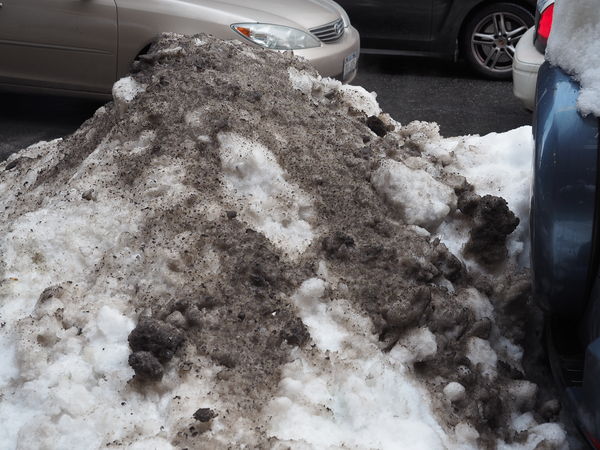 Image result for NYC black snow
