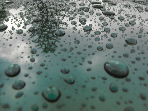 A just polished car roof after sun shower....