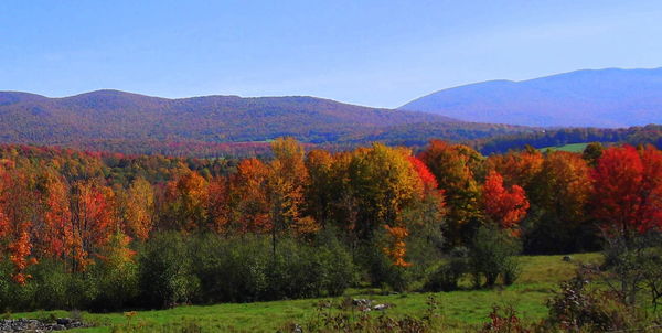 Fall Foliage in Vermont...