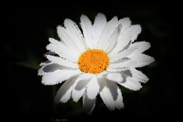Learning some editing also - Daisy...