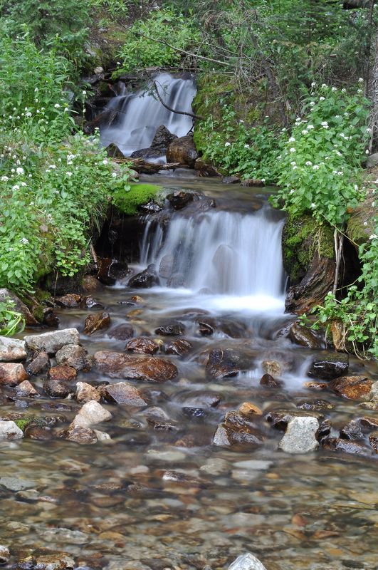 Spring Creek ford in the Upper Tomichi Valley, Col...