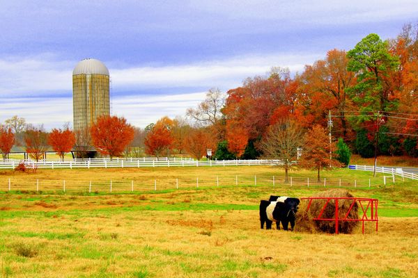 Fearrington Village in Chapel Hill...