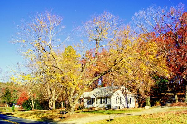 Countryside in Chapel Hill...