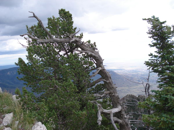 Ok, one more - Sandia Peak, Albuquerque, NM...