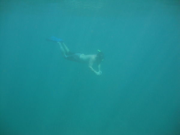 Scuba Diving off the Coast of Kauai (I'm about 20 ...