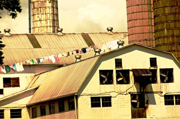 Amish Barn, hanging wash...