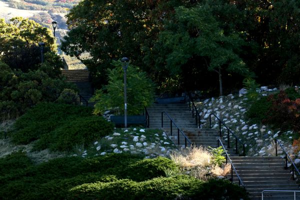 Stairway to Heaven...