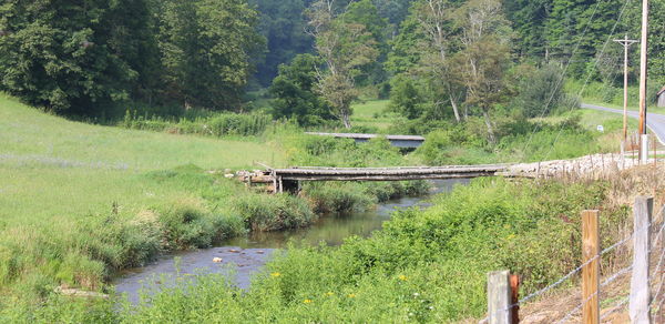 Access bridge, Creston, NC...