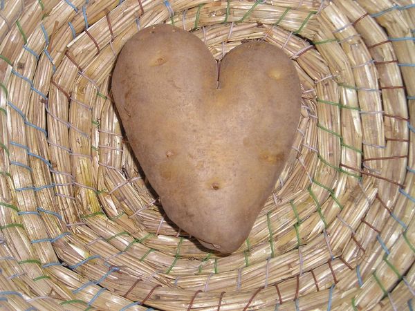 Potato Heart...