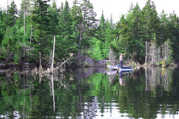 Flyfishing for trout in Québec...