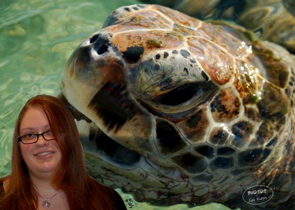 Giant sea turtle...