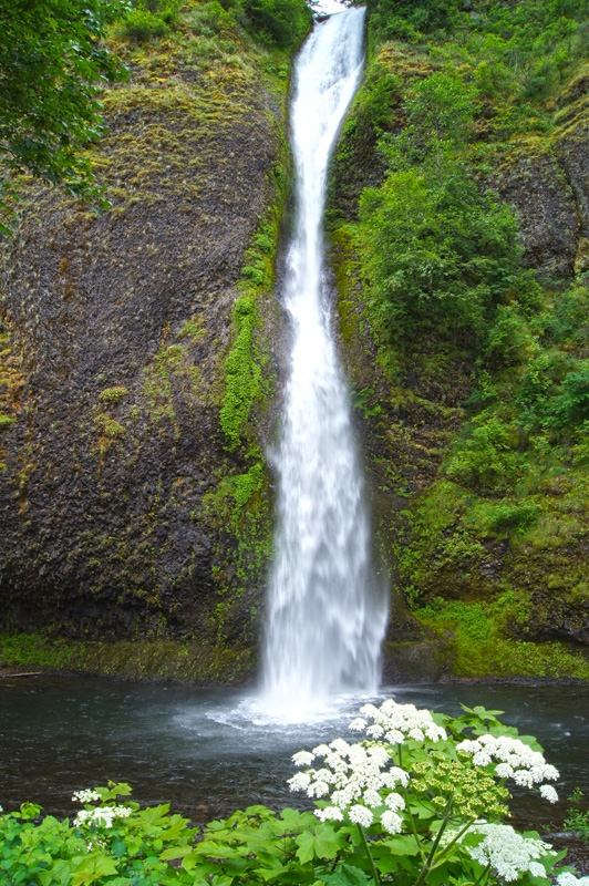 Horsetail Falls ---Oregon...