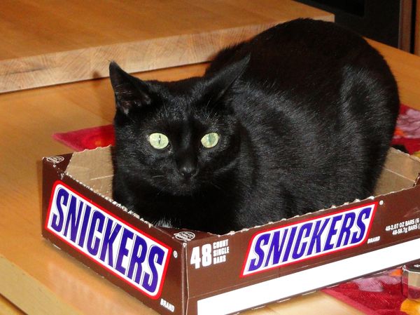 Spook in Snickers Box...
