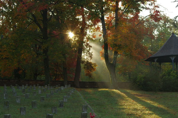 Sunlight over the Confederate Cemetery through fog...