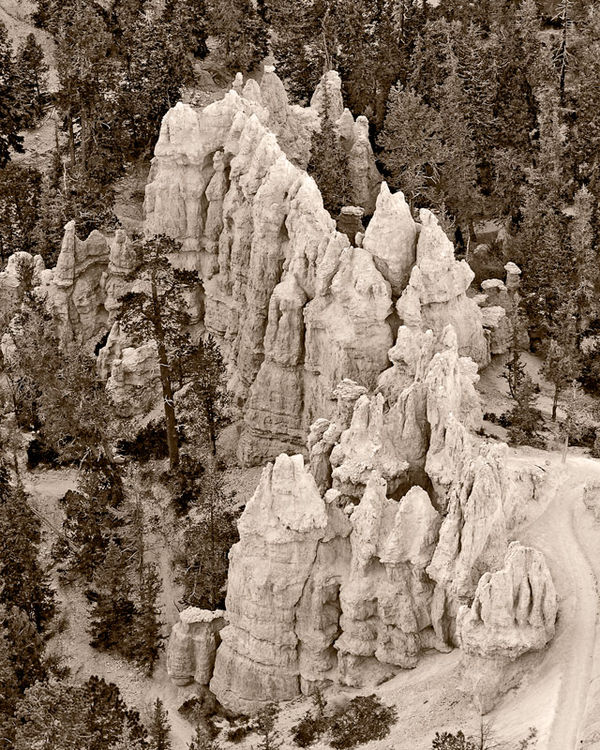 Hoodoos Cluster, Bryce Canyon NP...