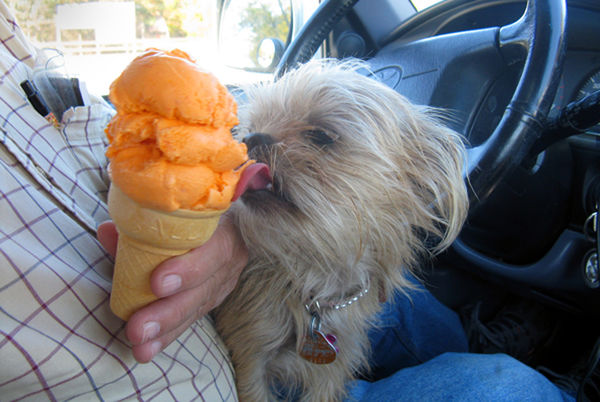 i like ice cream...
