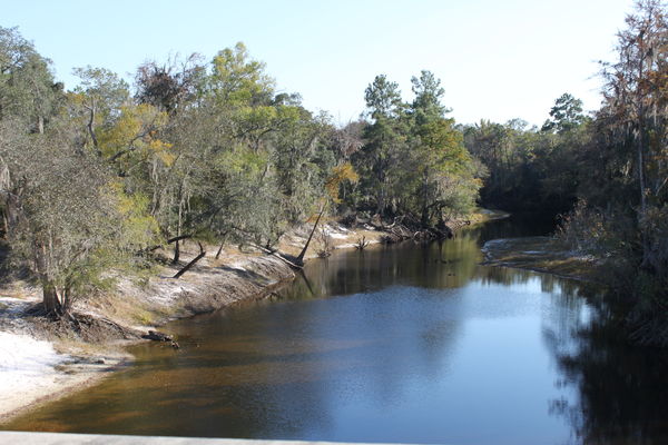 Alapaha River, Lanier County, Georgia...