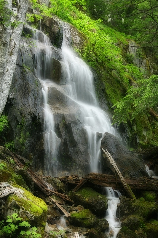 an unnamed, seasonal waterfall in Mt. Rainier nati...