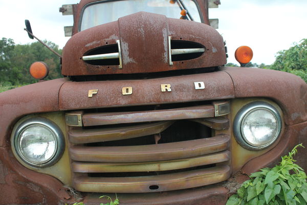 Ford in a field...