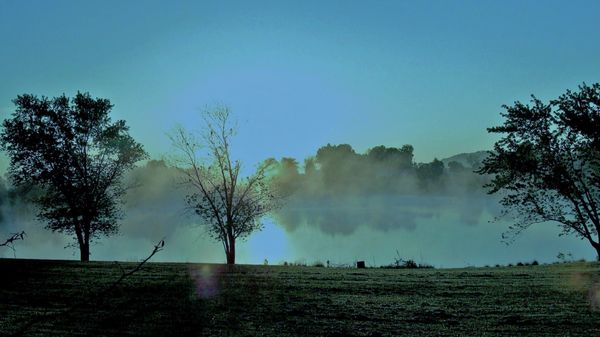 Foggy morning at the lake...