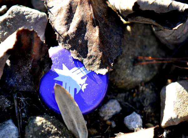 Trash by the creek.......... about the only color ...