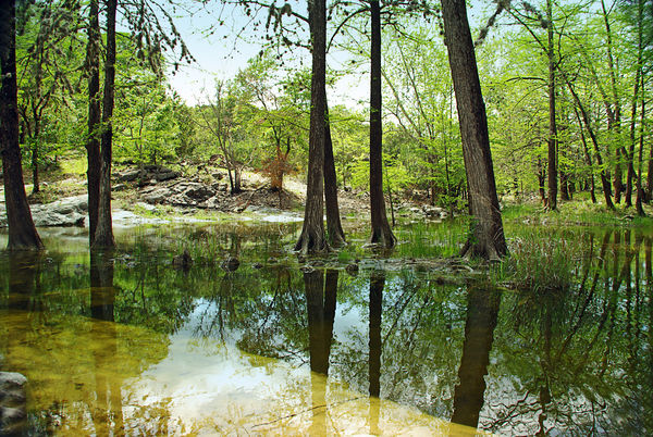 Krause Springs Reflections..near Austin...