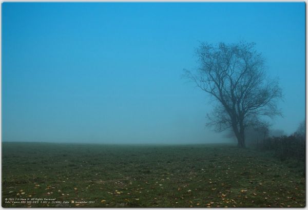 Blue Fog...