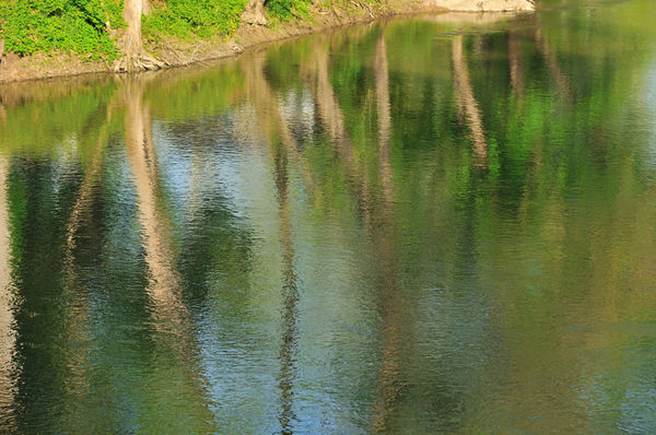 Reflections in Wildcat Creek...