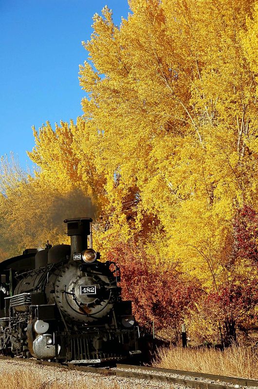 Autumn train...
