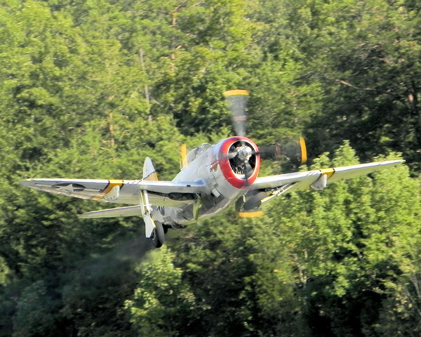 Republic P-47D Thunderbolt "Wicked Wabbit"...
