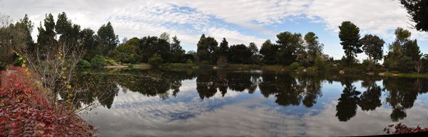 Pond at U.C. Davis...