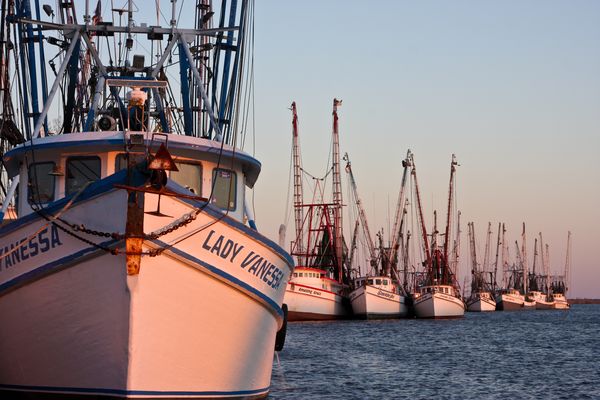 Darien (not Lake Superior) shrimp fleet...