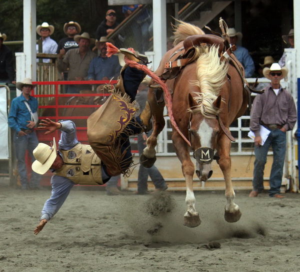 Driscoll Ranch rodeo...