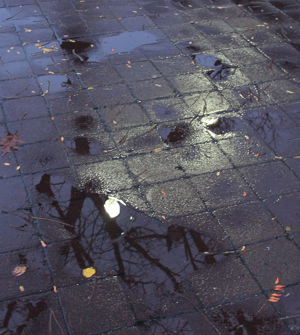 Poblic Square on a rainy morning. The Public Squar...