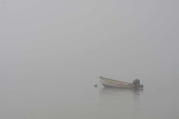 Photo 2 -- foggy morning...