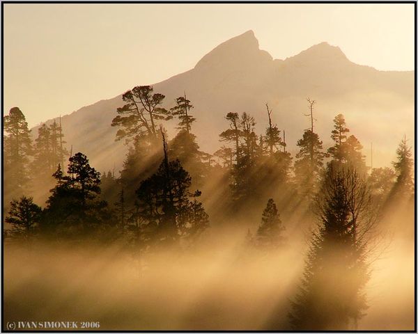 The last sunrays.The trees are on Wrangell island,...