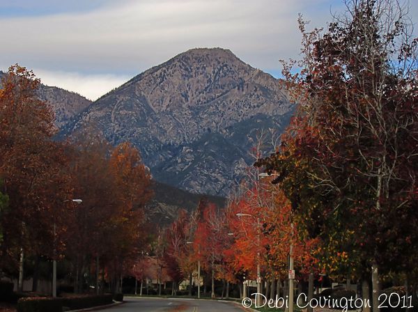 color with Mt.Baldy in the background : pp curve a...