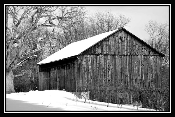 I LOVE this old barn and have passed it over and o...