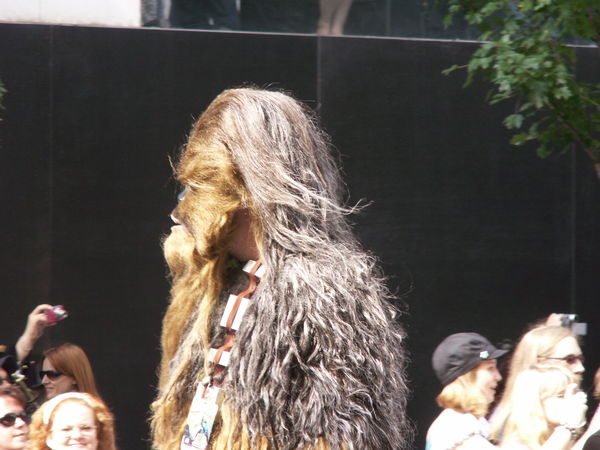 Chewie...