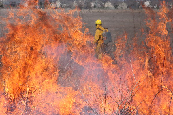 Photo 2 -- Controlled prairie burn...