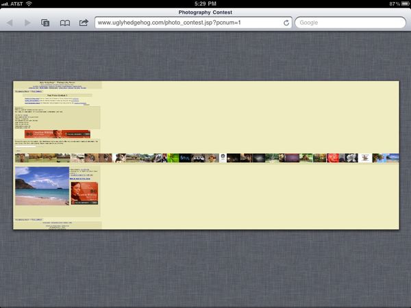 iPad Screen Capture...