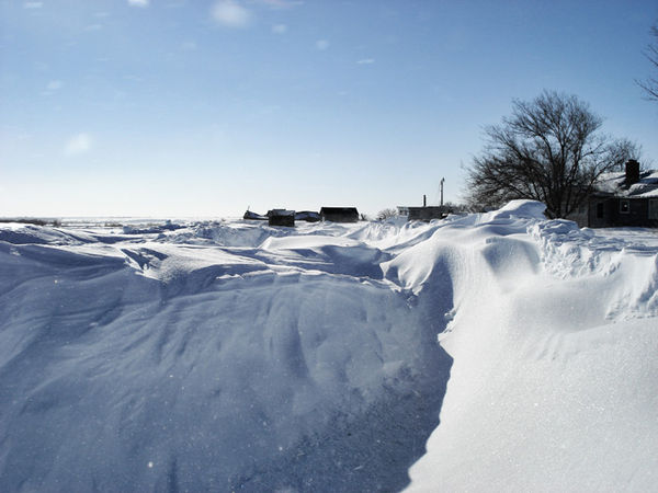 half way down my driveway...