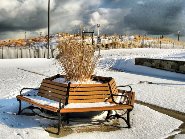 Snowy Benches at the Point...
