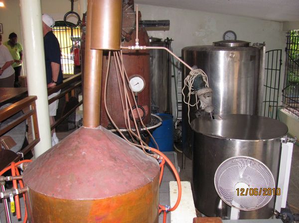 Still used to make Curacao Liquer...