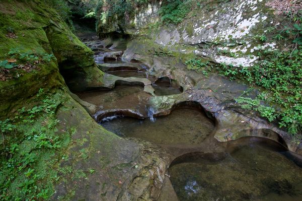 Fall Creek Gorge Nature Preserve...