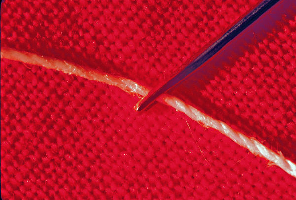 Needle & Thread on a RED Hanky...