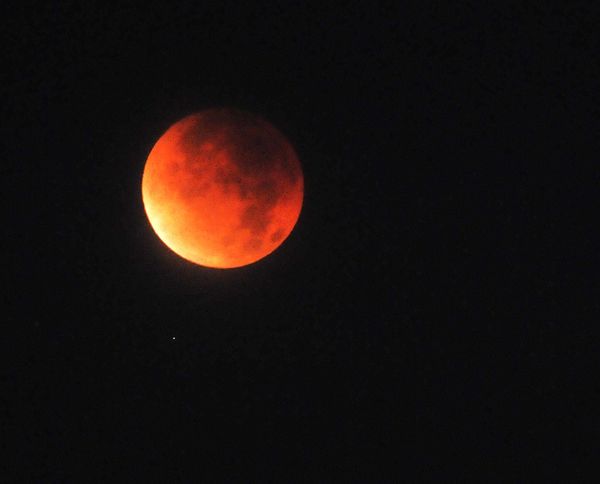 Moon eclipse over Lighthouse Park-SCruz, Ca....