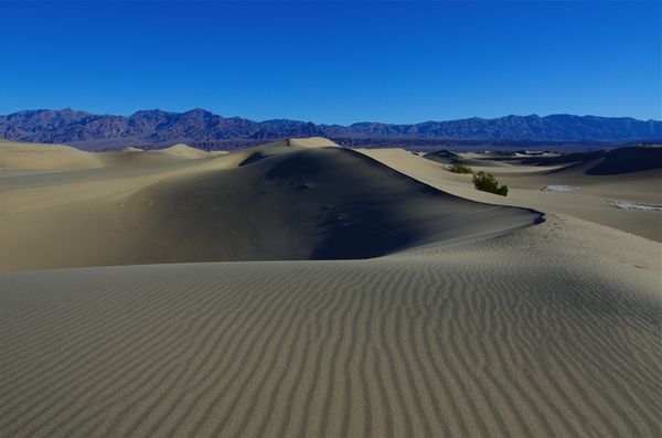 Sand Dunes in Death Valley...