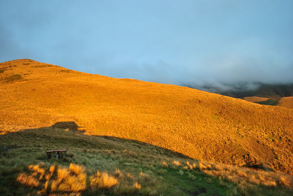 Morning sun catching a hillside in New Zealand...